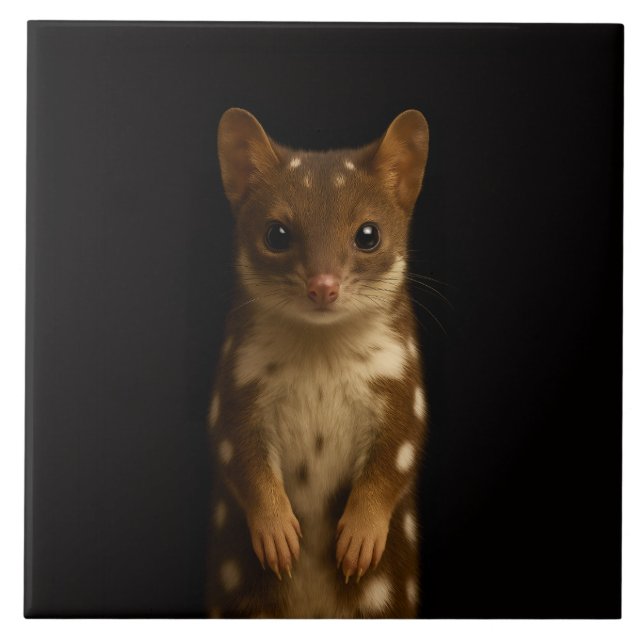 De Cerâmica Azulejo Preto 4 Luxe com Sweet Quoll (Frente)