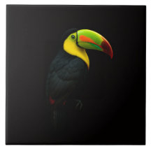 Azulejo Preto 4 Luxe com Tucano-de-bico-vermelho t