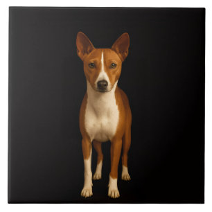 De Cerâmica Azulejo Preto 4 Luxo com Cachorro Basenji Elegante