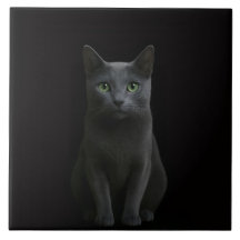 Azulejo Preto 4 Luxo com Gato Azul Russo