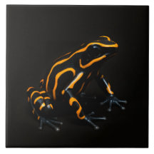 Azulejo preto 4 luxo com Sapo tropical laranja pre