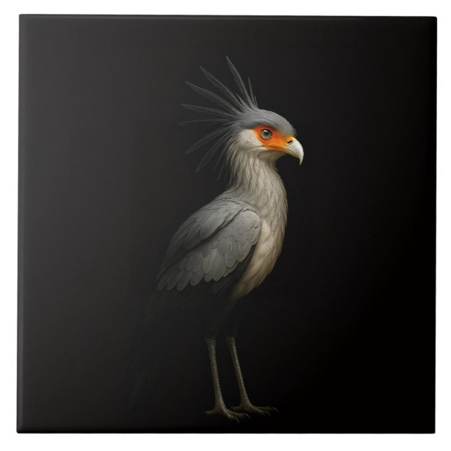 De Cerâmica Azulejo Preto 4 Luxo com Secretarybird Exótico (Frente)