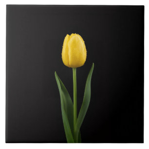 De Cerâmica Azulejo Preto 4 Luxo com Tulipa Amarela Dourada