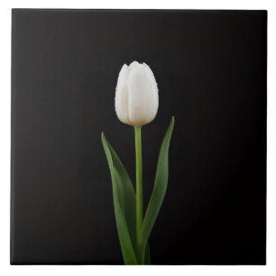 De Cerâmica Azulejo Preto 4 Luxo com Tulipa Branca Pérola
