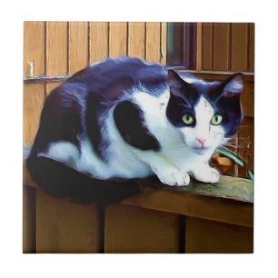 De Cerâmica Azulejo preto e branco do gato
