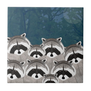 De Cerâmica Azulejo Raccoons