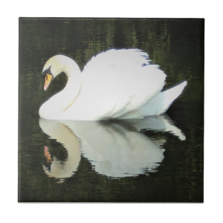 De Cerâmica Azulejo régio branco da cisne
