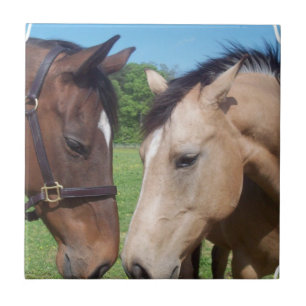 De Cerâmica Azulejo romance do cavalo