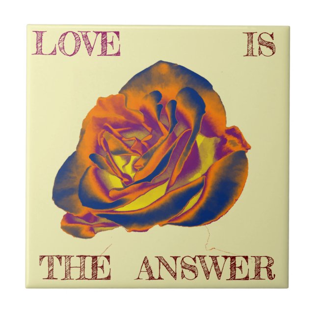 De Cerâmica Azulejo Rosa laranja (Frente)