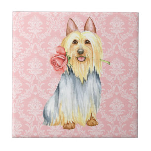 De Cerâmica Azulejo Rosa Silky Terrier namorados