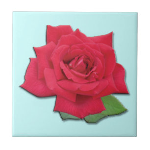 De Cerâmica Azulejo rosa vermelha