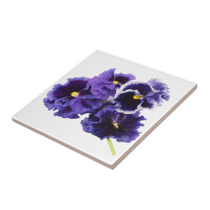 De Cerâmica Azulejo roxo do amor perfeito