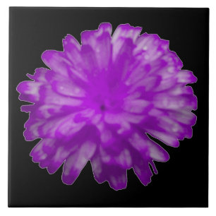 De Cerâmica Azulejo Roxo Marigold