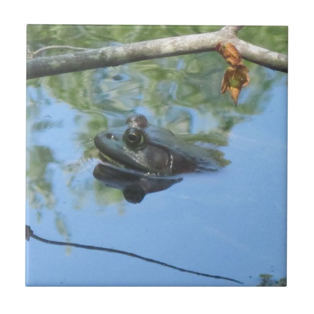 De Cerâmica Azulejo sapo (Frente)