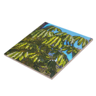 De Cerâmica Azulejo Schefflera Umbrellas