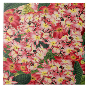 De Cerâmica Azulejo tropical da flor do jardim floral do