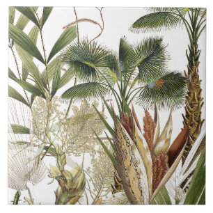 De Cerâmica Azulejo tropical das frondas da palmeira da ilha