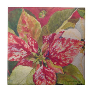 De Cerâmica Azulejo Variegated da poinsétia