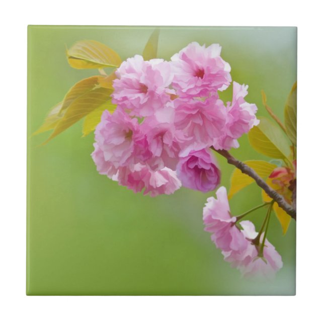 De Cerâmica Azulejo velho dos rosas (Frente)