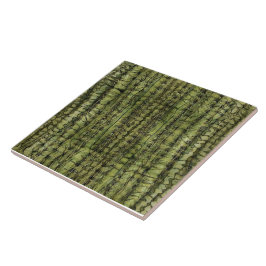 De Cerâmica Azulejo Verde Cacto para Cozinha