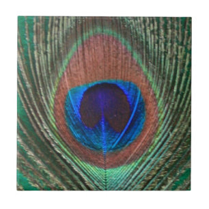 De Cerâmica Azulejo verde da pena do pavão