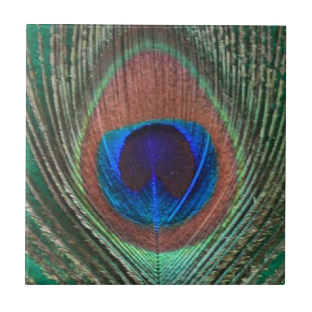 De Cerâmica Azulejo verde da pena do pavão (Frente)