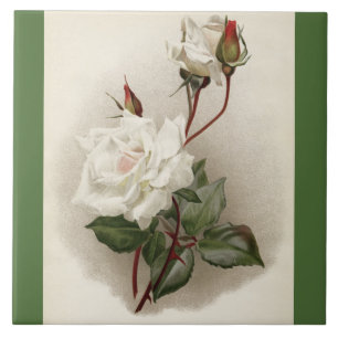 De Cerâmica Azulejo verde dos rosas brancos do Victorian