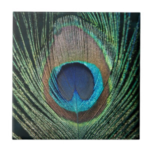 De Cerâmica Azulejo verde escuro da pena do pavão