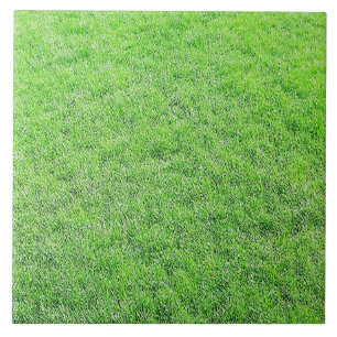 De Cerâmica Azulejo Verde Incrível