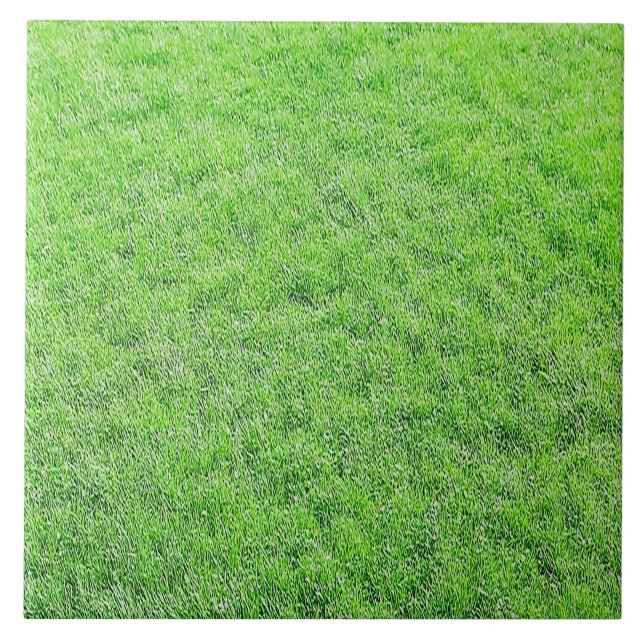 De Cerâmica Azulejo Verde Incrível (Frente)