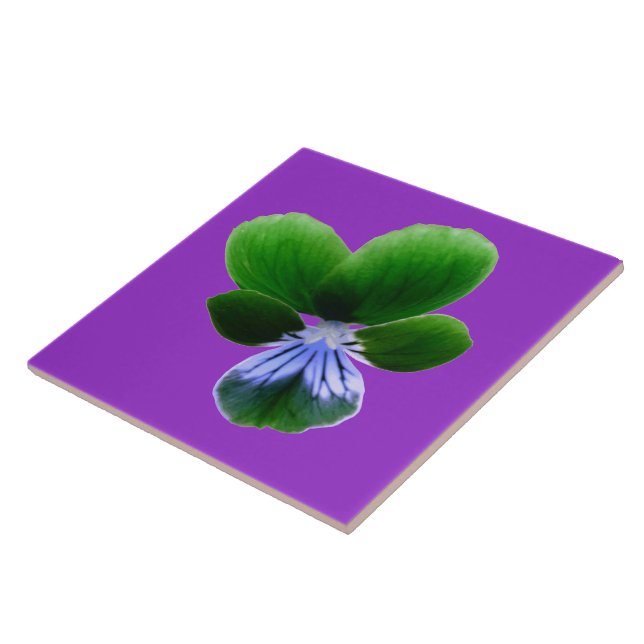 De Cerâmica Azulejo verde Pansy (Lateral)
