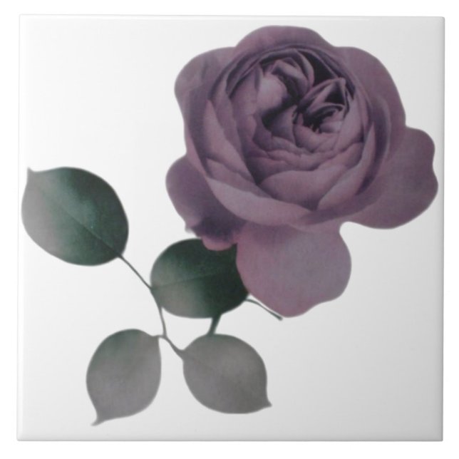 De Cerâmica Azulejo Violet Rosa (Frente)