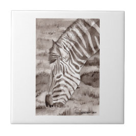 De Cerâmica azulejo zebra