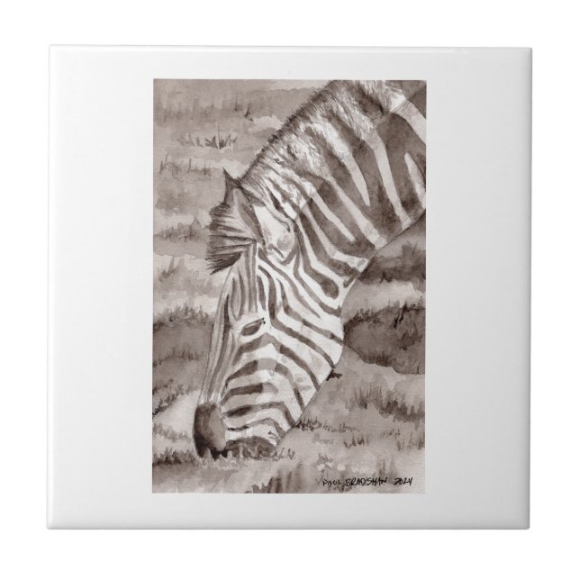 De Cerâmica azulejo zebra (Frente)