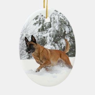 De Cerâmica Belga Malinois no ornamento 2 da neve