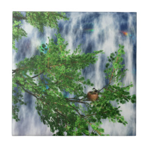 De Cerâmica Birdsnest cai no Azulejo decorativo / Trivet