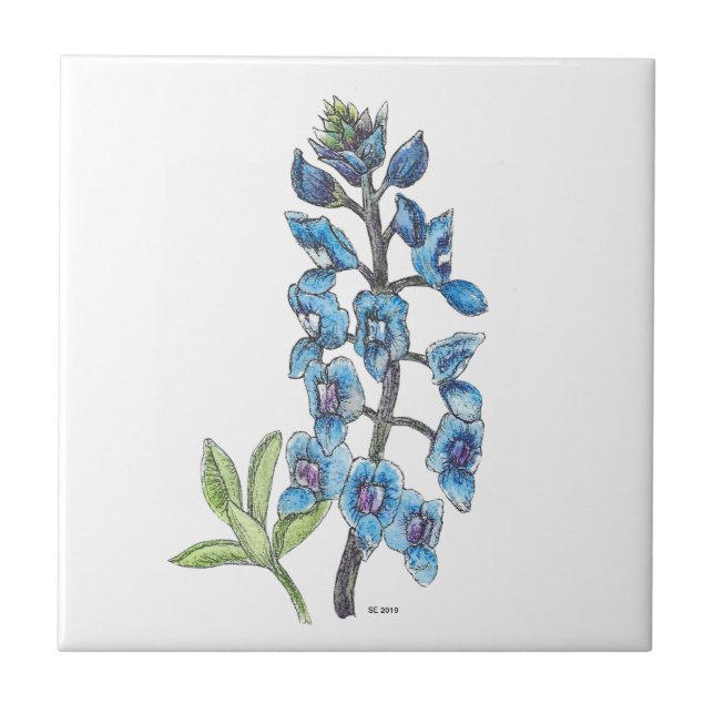 De Cerâmica Bluebonnet em linha e Wash 1 Azulejo cerâmico (Frente)