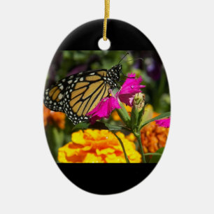 De Cerâmica Borboleta Monarca em ornamento rosa-marigold-oval
