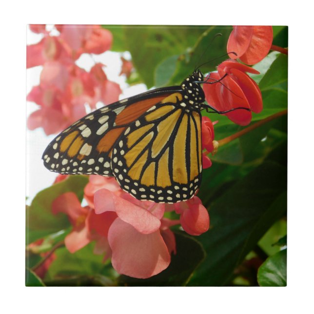 De Cerâmica Borboleta no Azulejo cerâmico Flores Vermelhas (Frente)