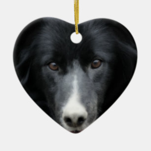 De Cerâmica Border collie preto enfrenta o ornamento do cão