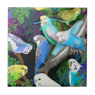 De Cerâmica Budgerigars no azulejo das samambaias