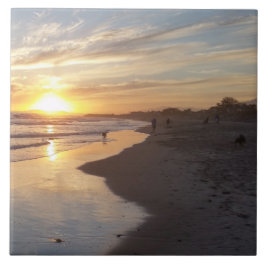 De Cerâmica Cachorro no Azulejo Sunset California Dreaming