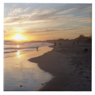 De Cerâmica Cachorro no Azulejo Sunset California Dreaming