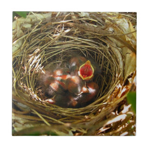 De Cerâmica Cante para fora o azulejo da arte