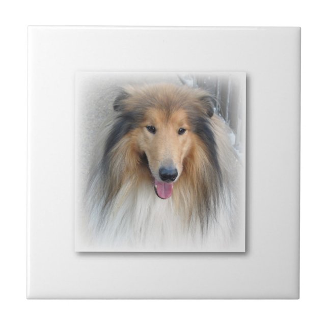 De Cerâmica Cão Azulejo cerâmico (Frente)