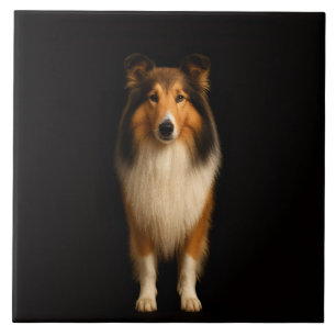 De Cerâmica Cão Collie Leal Preto 4 Luxo Azulejo