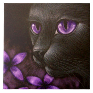 De Cerâmica CAT PRETO com o AZULEJO VIOLETA das FLORES