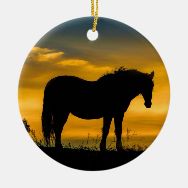 De Cerâmica Cavalo Selvagem no Ornamento do Sol (Frente)