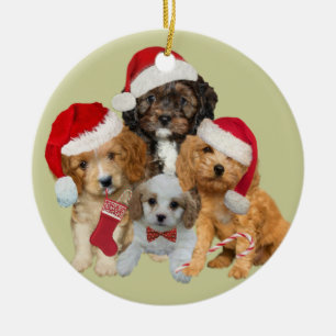 De Cerâmica Cavapoo deixou-o nevar ornamento