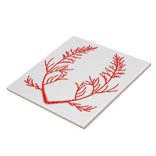 De Cerâmica Cedar sai em um Azulejo cerâmico branco